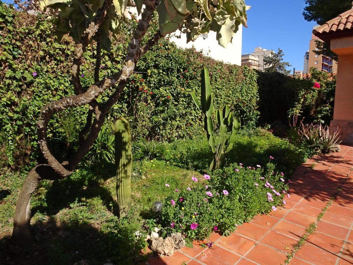 Villa Del Duque, Gandia - Playa de Gandia Экстерьер фото